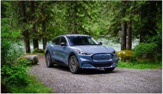 Metallic blue Ford Mustang Mach-E electric SUV parked on a gravel path in a lush green forest.