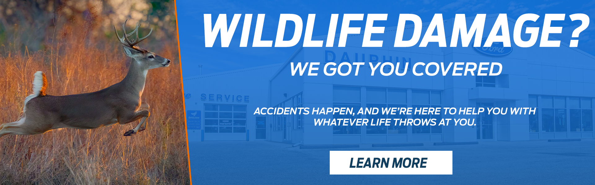 1920x600 Wildlife damage slider_widget-7-7
