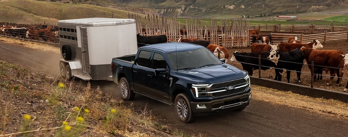 Powertrain Choices for Every Kind of Driver