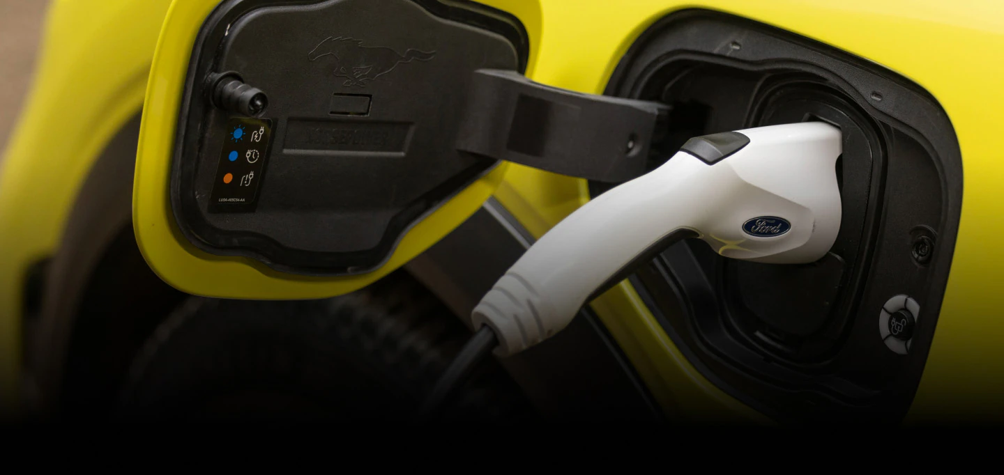 Ford Energy Rewards