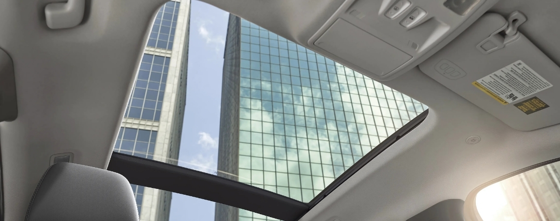 Interior Space and Comfort