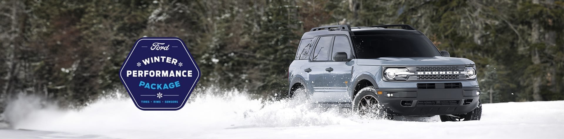 Revolution Ford_Slide_Winter-Package-1920x475 slider_widget-1-2