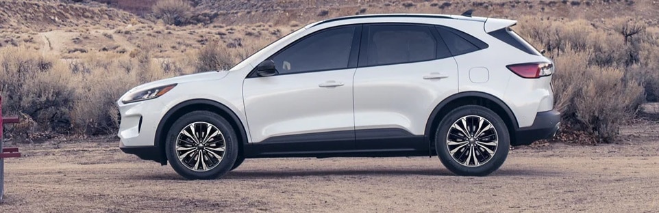 2022 Escape SE Plug-In Hybrid for Sale in Edmonton, Alberta